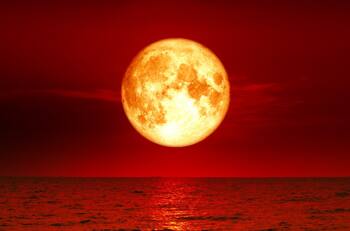 Lluvia de estrellas, dos Lunas de sangre y eclipses solares: Conoce los eventos astronómicos que marcarán el 2025