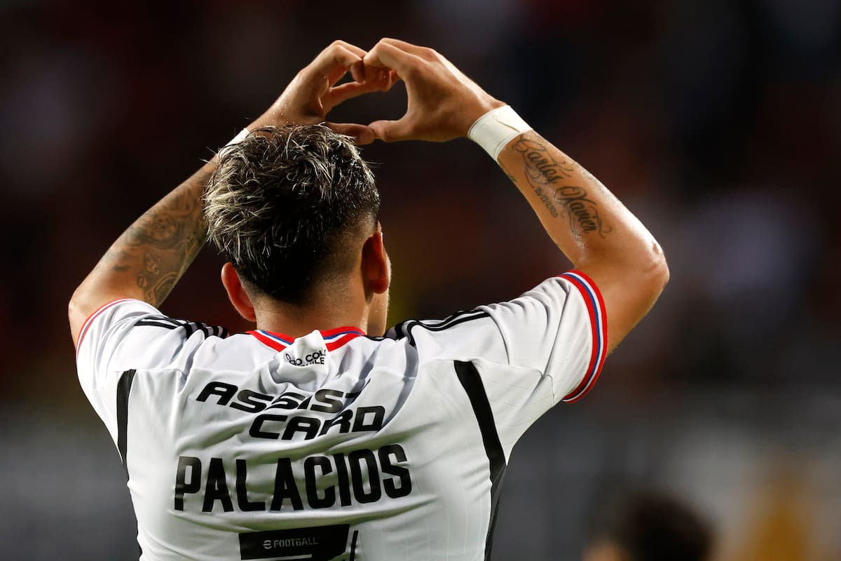 Carlos Palacios permanecerá en Colo Colo.
