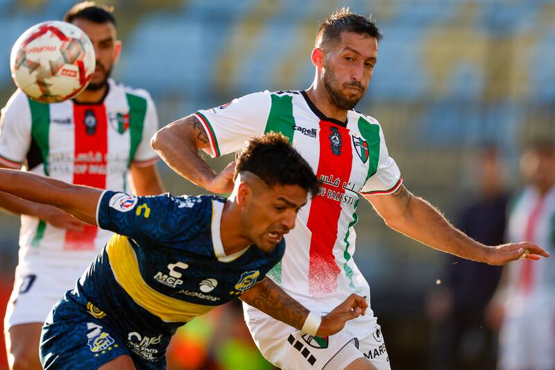 Palestino jugará contra el Flamengo por Copa Libertadores.