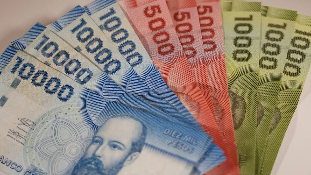 Nuevo monto para el ex Bono Marzo 2026: Consulta con tu RUT si podrás recibir el Aporte Familiar Permanente