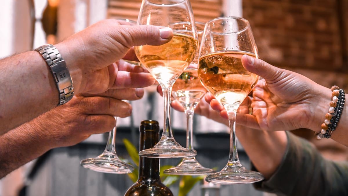 Expo CAV 2026 en Espacio Riesco: Conoce las fechas, precios de las entradas y cómo asistir al gran evento del vino en Chile