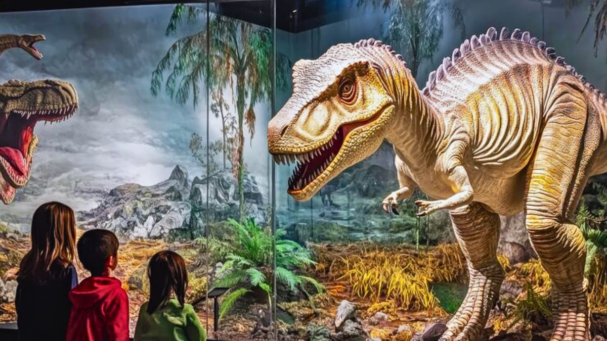 ¿Sin panorama para estas vacaciones de invierno? La increíble exposición de dinosaurios en Rancagua