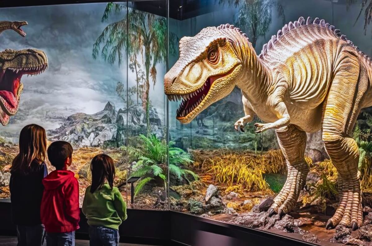 ¿Sin panorama para estas vacaciones de invierno? La increíble exposición de dinosaurios en Rancagua