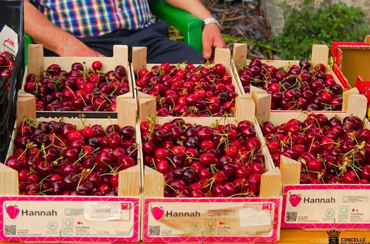 Las empresas más afectadas por el fallido envío de fruta chilena a China: Naviera propone monto de compensación