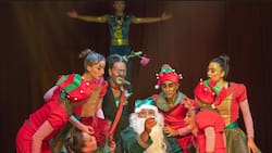 Vive la magia de la Navidad con el Extraordinario Circo en Santiago: Un panorama ideal para disfrutar en familia y con niños