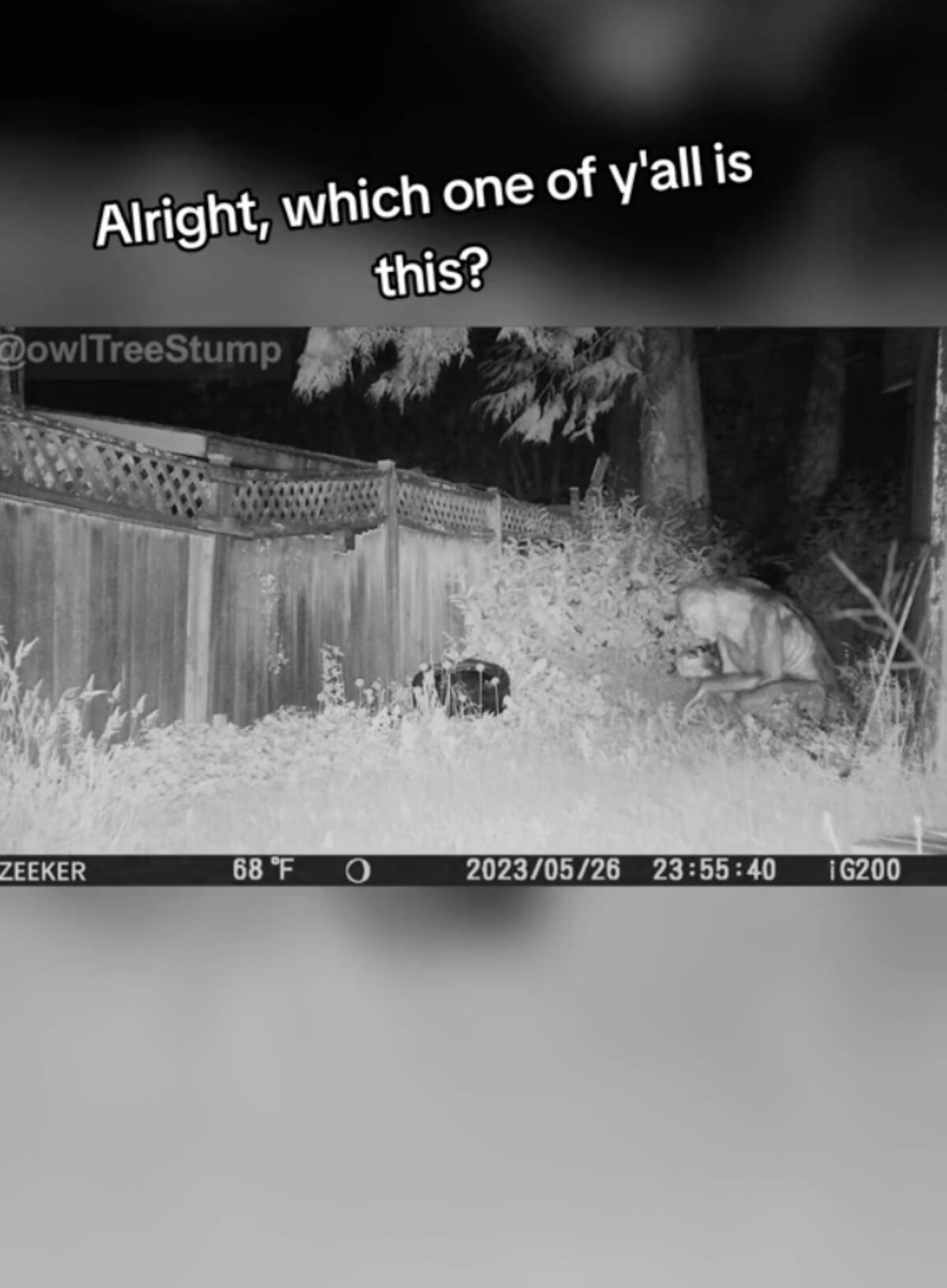 El video resultó ser falso.