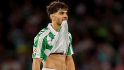 El Nápoles se quiere llevar a una de las grandes estrellas de Manuel Pellegrini en el Betis