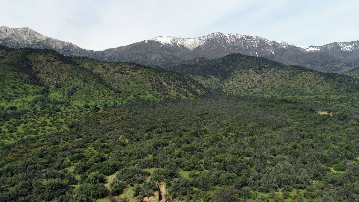 Descubren otra comuna de la Región Metropolitana donde está presente la falla de San Ramón