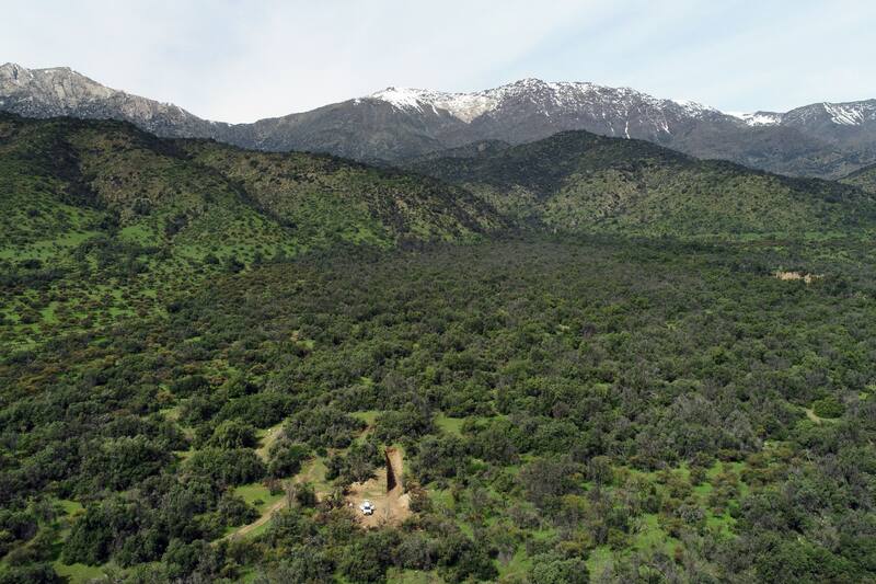 Investigadores de la U. de Chile revelan nuevo hallazgo presente en la capital.