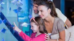 Este panorama es ideal si quieres compartir en familia: aléjate de la rutina por $4.000