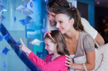 Este panorama es ideal si quieres compartir en familia: aléjate de la rutina por $4.000