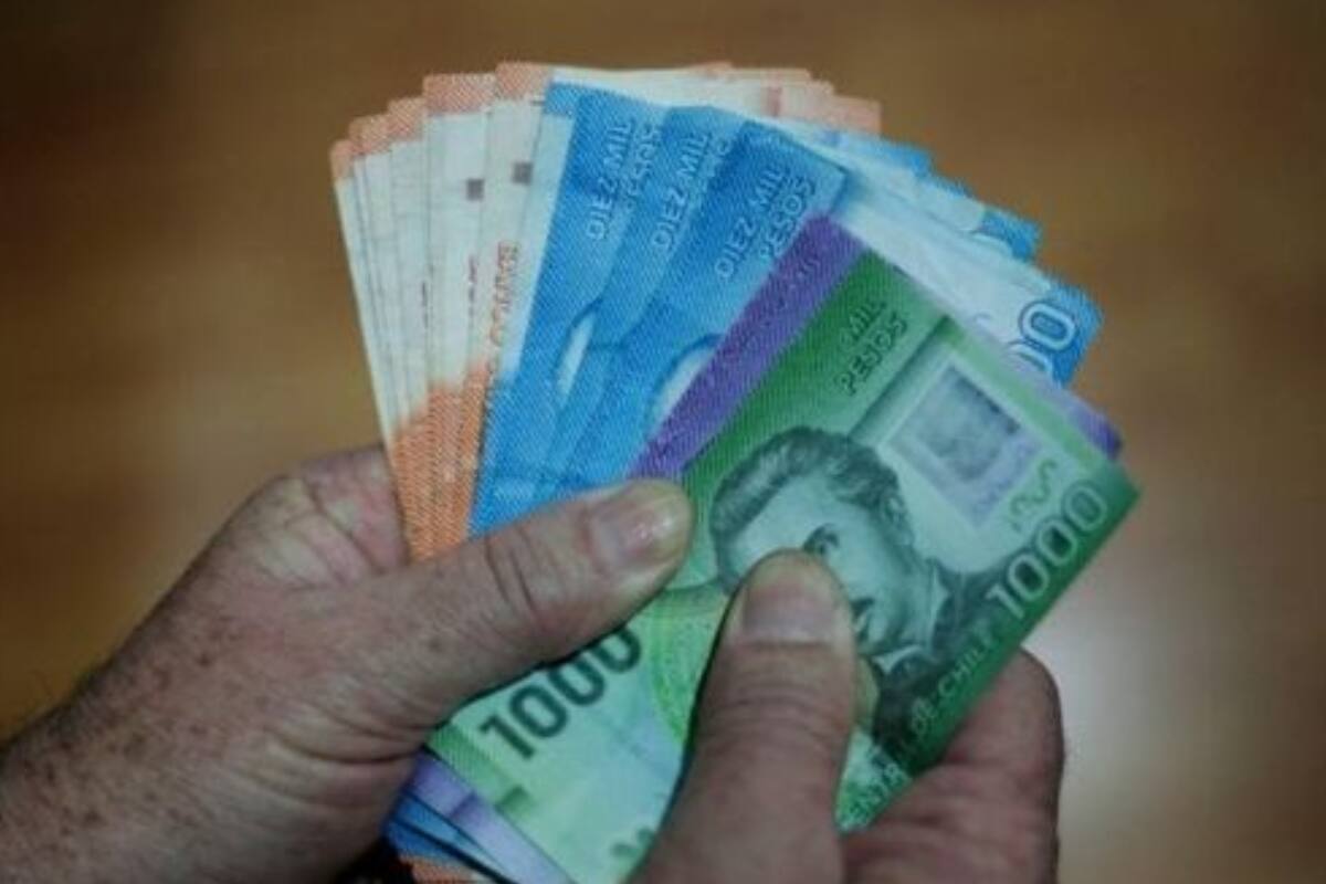 Solo con el RUT puedes saber cuándo recibes tu pago.