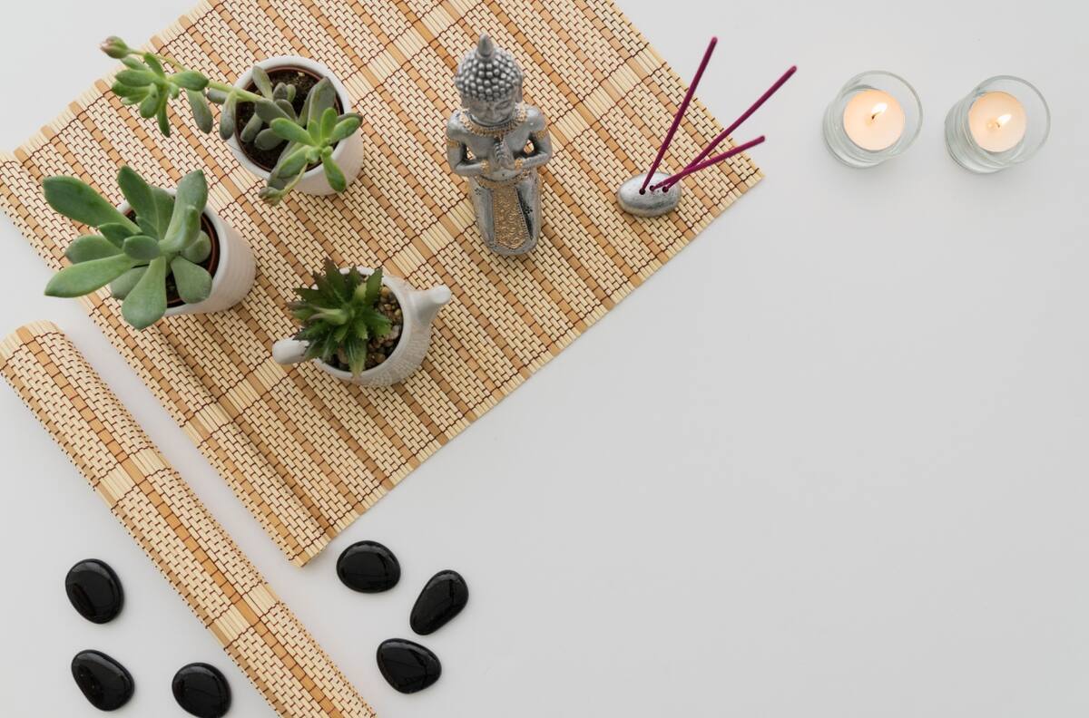 Suculentas para la prosperidad según el Feng Shui