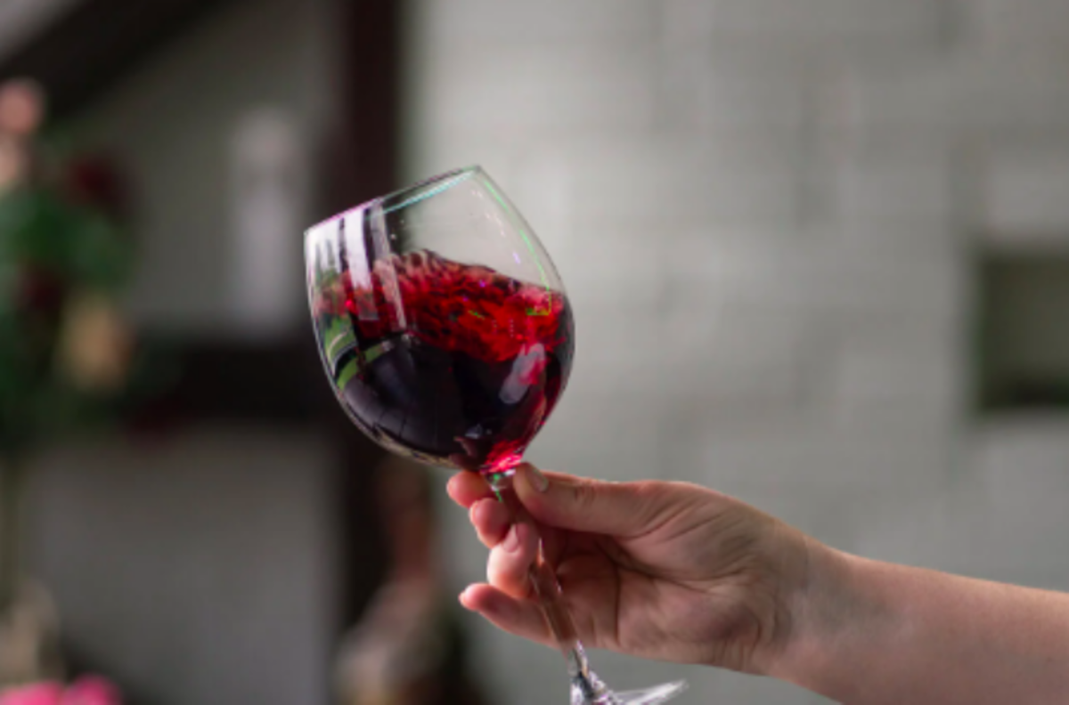 Feria del Vino en Parque Bustamante: Conoce todos los detalles para disfrutar de este evento