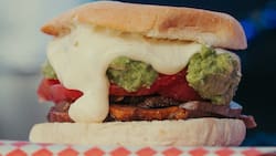 Feria del Sánguche vuelve más recargada que nunca a Santiago: Fecha, lugar y precio de las entradas