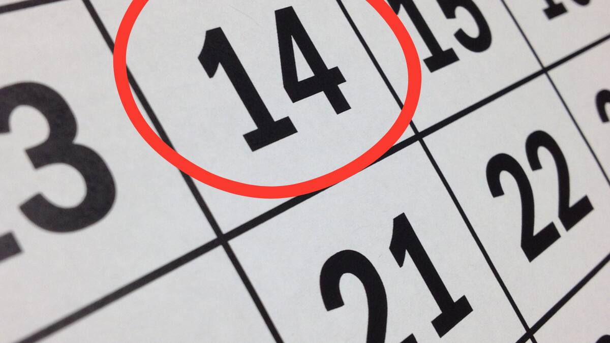 ¿Cuáles son los feriados que tendrá el mes de marzo?