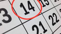 ¿Cuáles son los feriados que tendrá el mes de marzo?