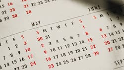 ¿Es irrenunciable el feriado del próximo lunes 26 de junio?