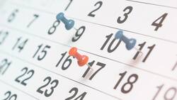 Para empezar a organizarse: estos son los todos los feriados y fines de semana largo que tendrá el 2025