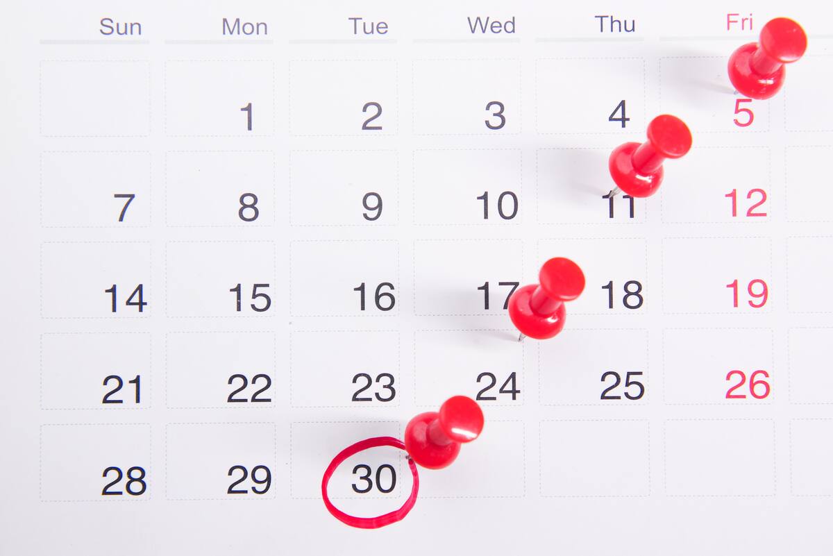 El 2023 nos "premiará" con seis días feriados durante los últimos tres meses del año.