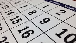 Feriados de julio en Chile: ¿Habrá fin de semana largo este mes?