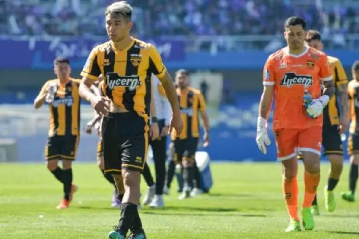 se va del profesionalismo tras descender a Tercera A. Un golpe duro para una de las hinchadas más fieles del Biobío. Foto: Sabes Deportes.