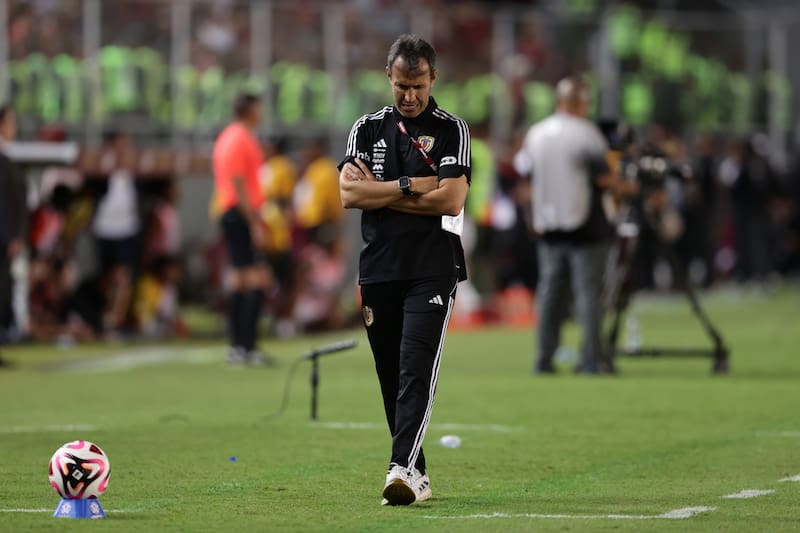 Fue despedido luego de quedarse fuera del Mundial.