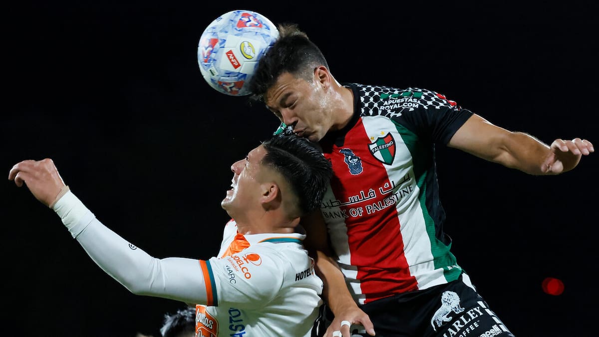 Aseguran que Fernando Meza habría dejado Palestino por problemas personales