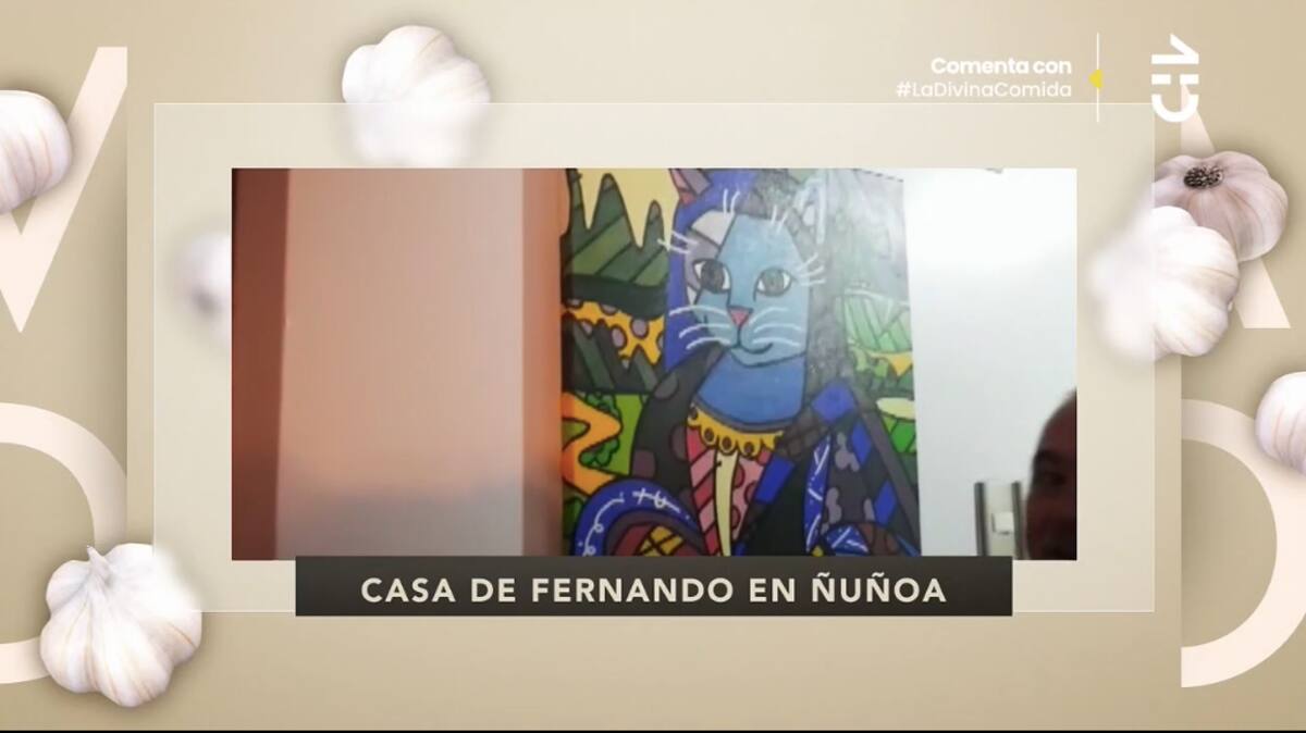 El cuadro de "Gato Lisa" / CHV