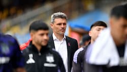 Pensando en el mercado de fichajes: este es el puesto que le urge reforzar a Fernando Ortiz en Colo Colo