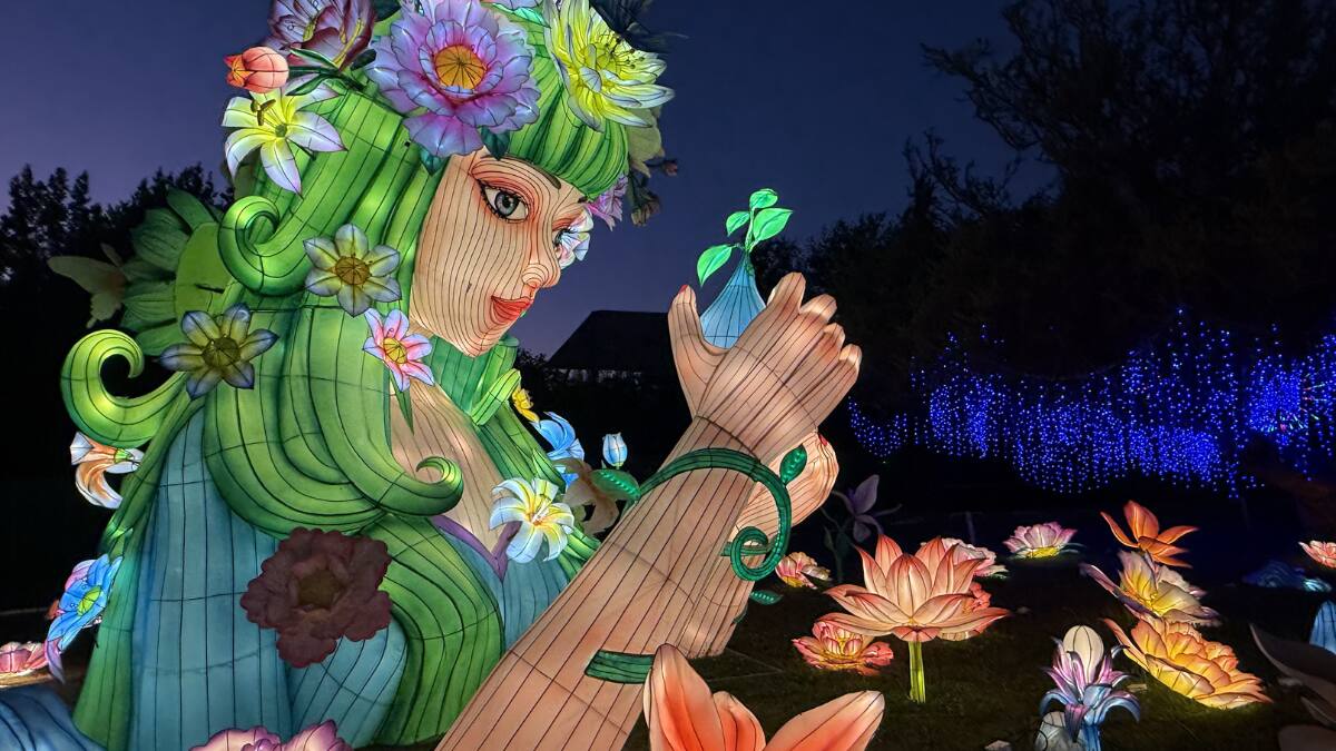 Fesiluz La Reina: Revisa las tarifas, ubicación y horarios del evento que iluminará tu noche