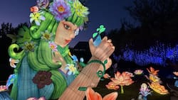 Fesiluz La Reina: Revisa las tarifas, ubicación y horarios del evento que iluminará tu noche