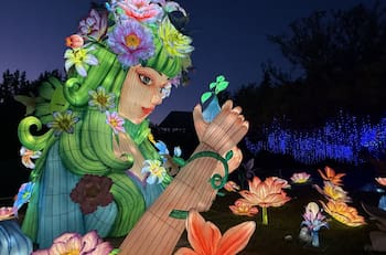 Fesiluz La Reina: Revisa las tarifas, ubicación y horarios del evento que iluminará tu noche