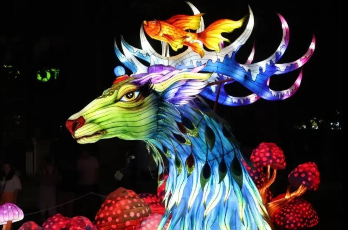 ¡Panorama imperdible! Festival de luces Tianfu tiene sus entradas a precios rebajados hasta el 05 de enero