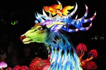 ¡Panorama imperdible! Festival de luces Tianfu tiene sus entradas a precios rebajados hasta el 05 de enero