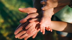 Ficha Protección Social: Aprende cómo solicitarla en simples pasos