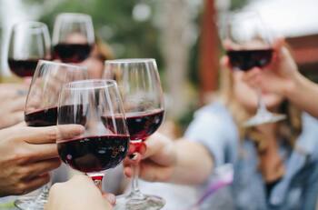 Esta fiesta de la vendimia gratuita y dentro de Santiago te espera: Así puedes inscribirte