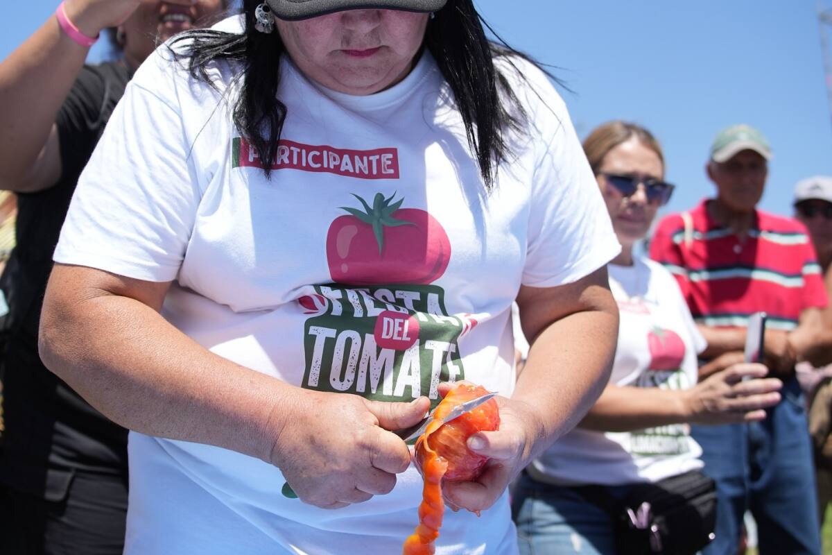 Durante el evento, habrán carreras de pelado de tomate, música en vivo, entre otras entretenidas actividades para toda la familia. Créditos: Municipalidad de Limache.