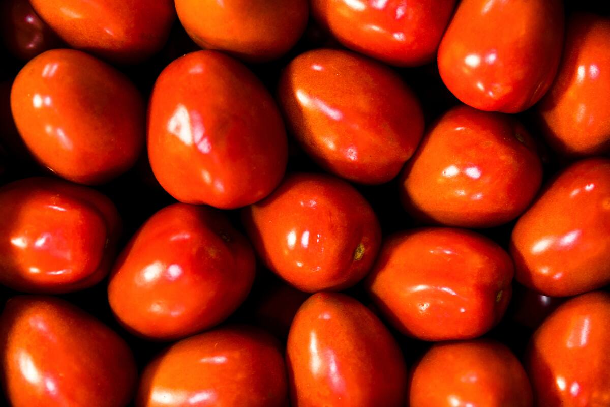 El evento busca destacar la importancia de este fruto tradicional de la comuna y la ardua labor de los agricultores locales. Imagen referencial. Créditos: Freepik.