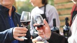 Fiesta del vino en La Florida: el evento gratuito perfecto para escapar del estrés de la semana