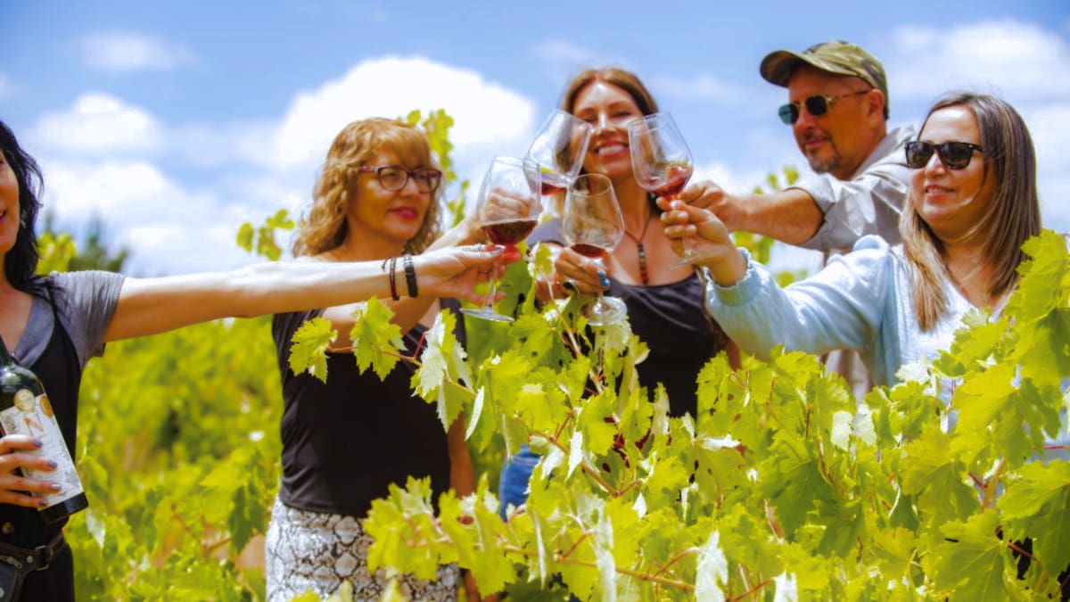 El brindis del otoño: la fiesta gratuita a pocos kilómetros de Concepción que celebra las raíces del campo chileno