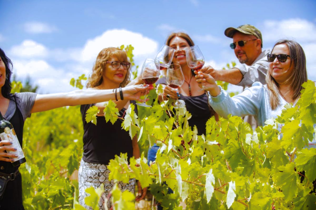 A pocos kilómetros de Concepción y se consolida como el destino favorito del fin de semana. Foto: Enoturismo Chile.