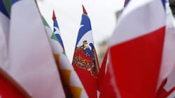 Fiestas Patrias 2023: ¿Cómo funcionará el comercio durante el fin de semana largo?