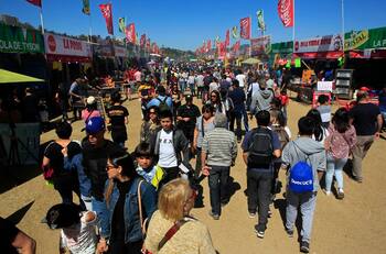 Revisa la parrilla programática que Viña del Mar ofrece para estas Fiestas Patrias