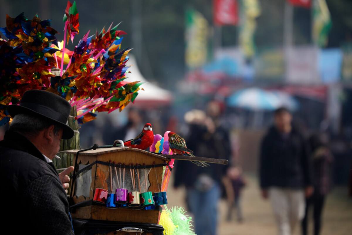 Para festejar Fiestas Patrias, Valparaíso tendrá 33 ramadas en total en la fonda del Parque Alejo Barrios.