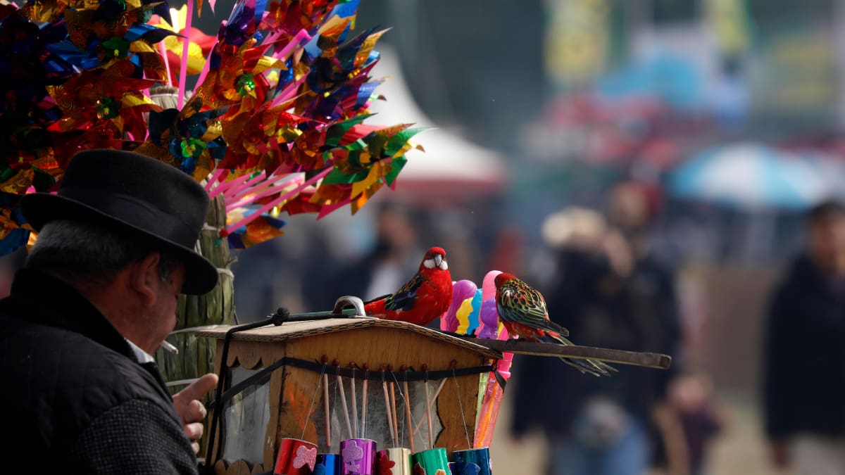 7 Juegos Típicos chilenos para divertirse en Fiestas Patrias