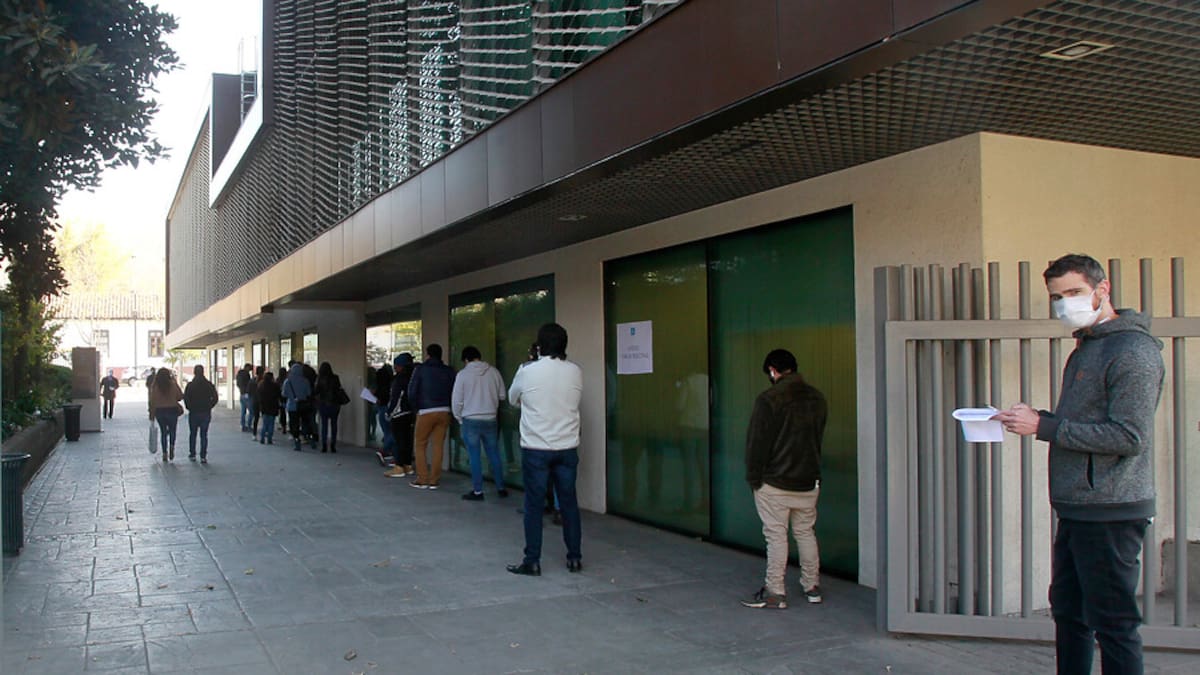 Ingreso Mínimo Garantizado: Ingresa acá y revisa si puedes cobrar el bono