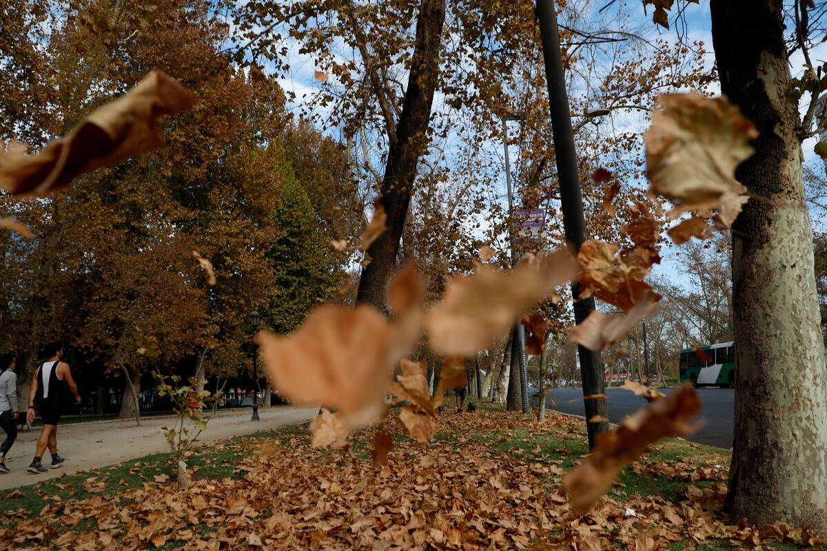 Revisa cuándo comienza el otoño 2023 en Chile. Créditos: ATON.