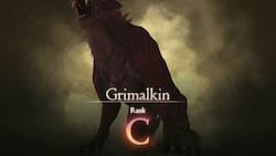 Grimalkin: Ubicación y recompensas en Final Fantasy 16