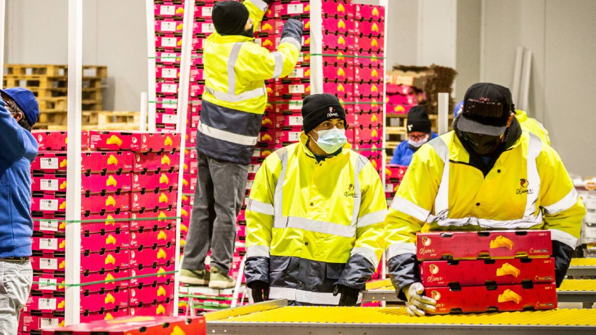 Empresas chinas acusan a importante firma chilena de millonaria estafa